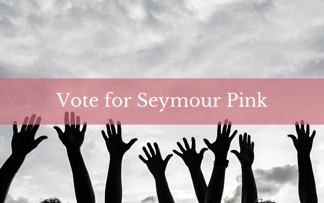 Vote for Seymour Pink! Ion Bank Foundation’s 13th Annual Community Awards Program