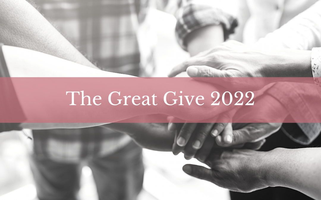 Help Us in The Great Give 2022